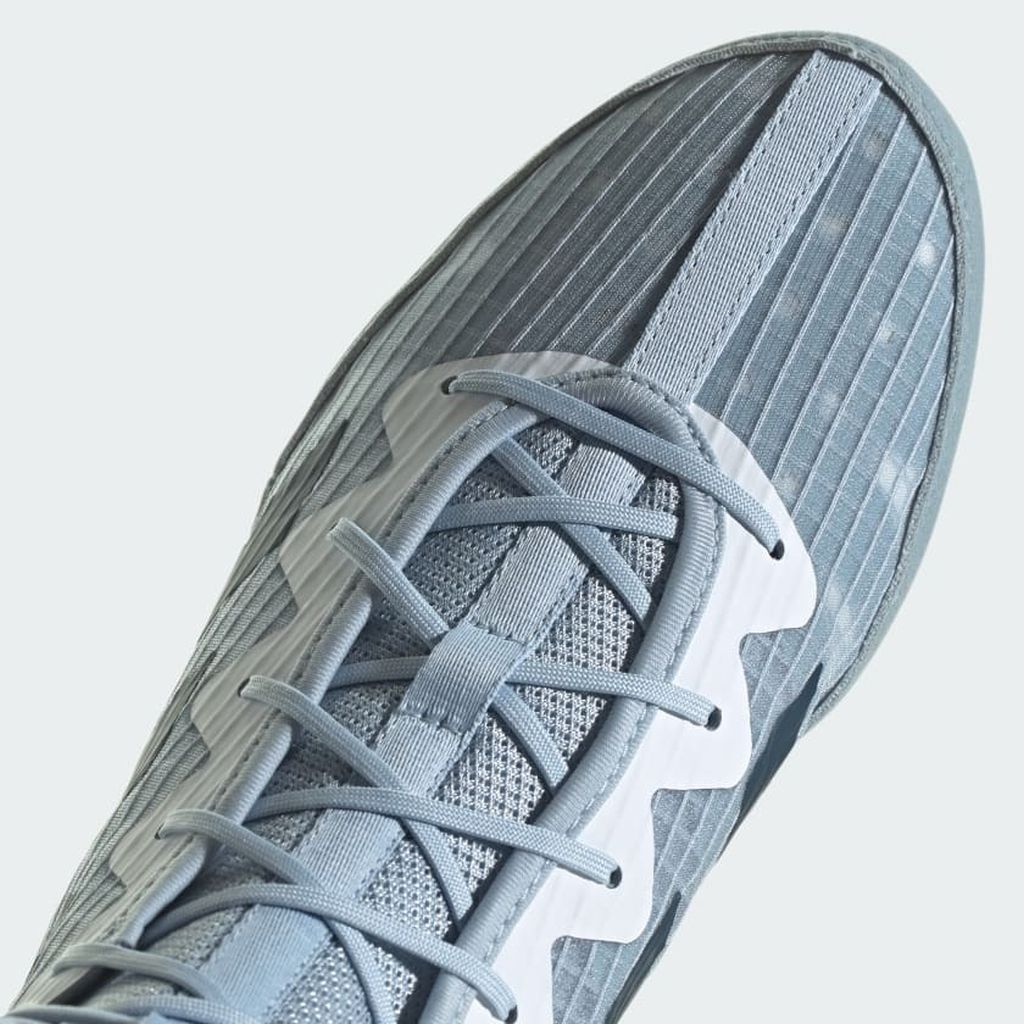 adidas Boxschuhe Box Hog 4, grau