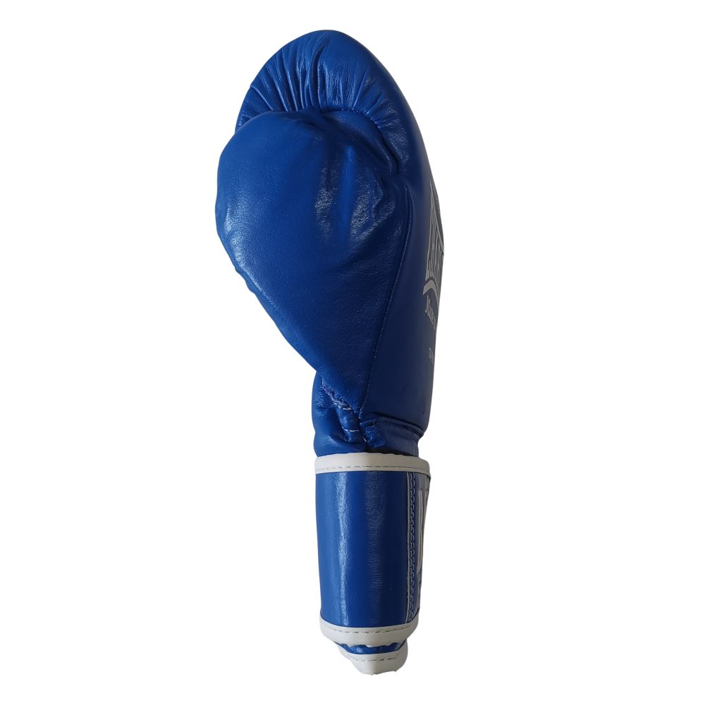 Charlie Boxing Boxhandschuhe Bat-X, blau