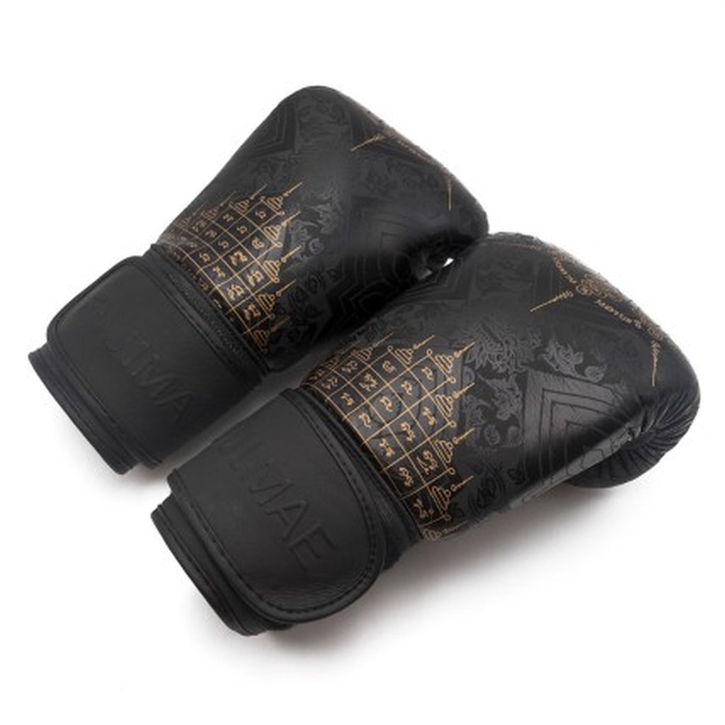FUJIMAE Boxhandschuhe Sakyant 2 Leather, schwarz