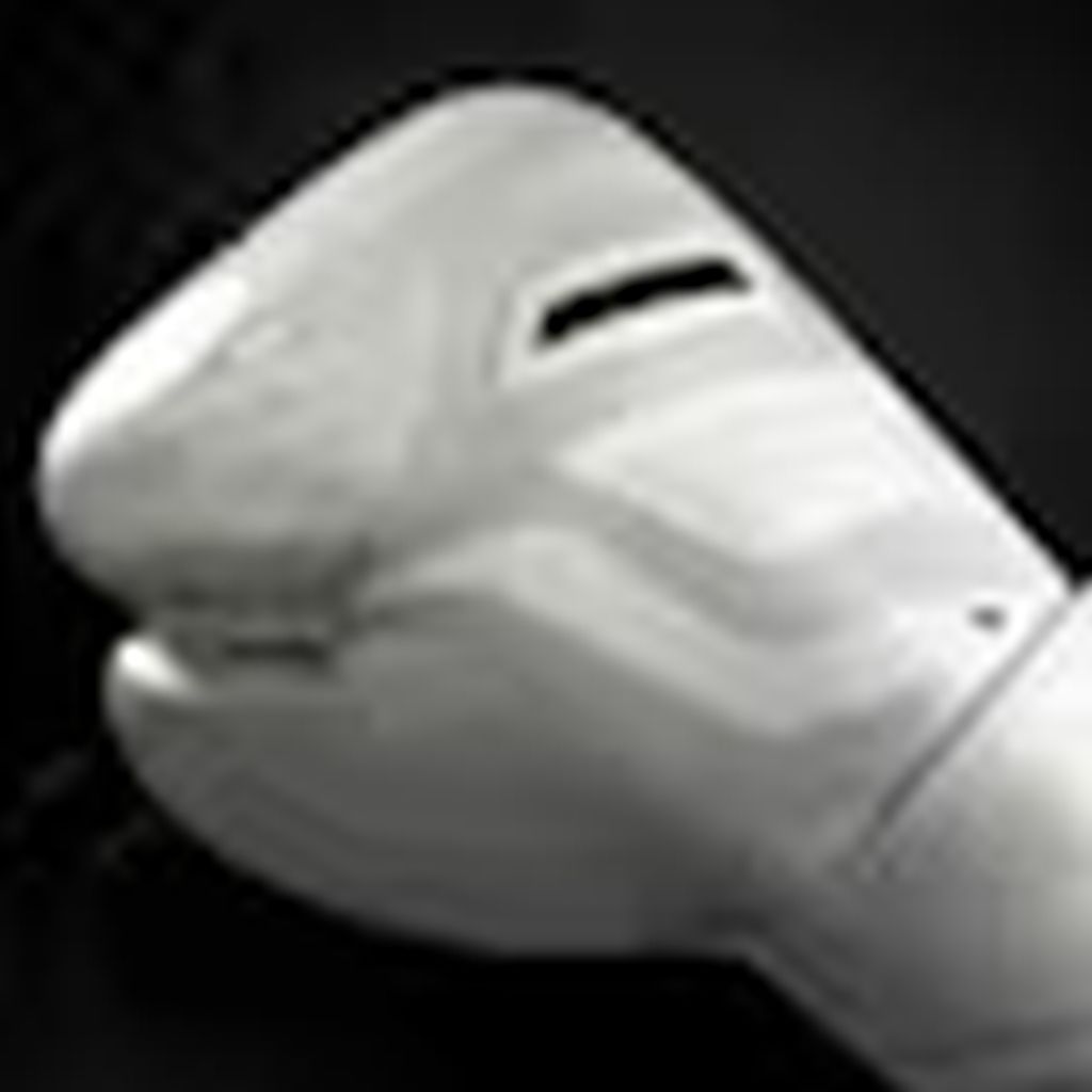 Hayabusa Boxhandschuhe T3D, weiss