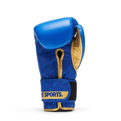 Leone 1947 Boxhandschuhe DNA GN220, blau