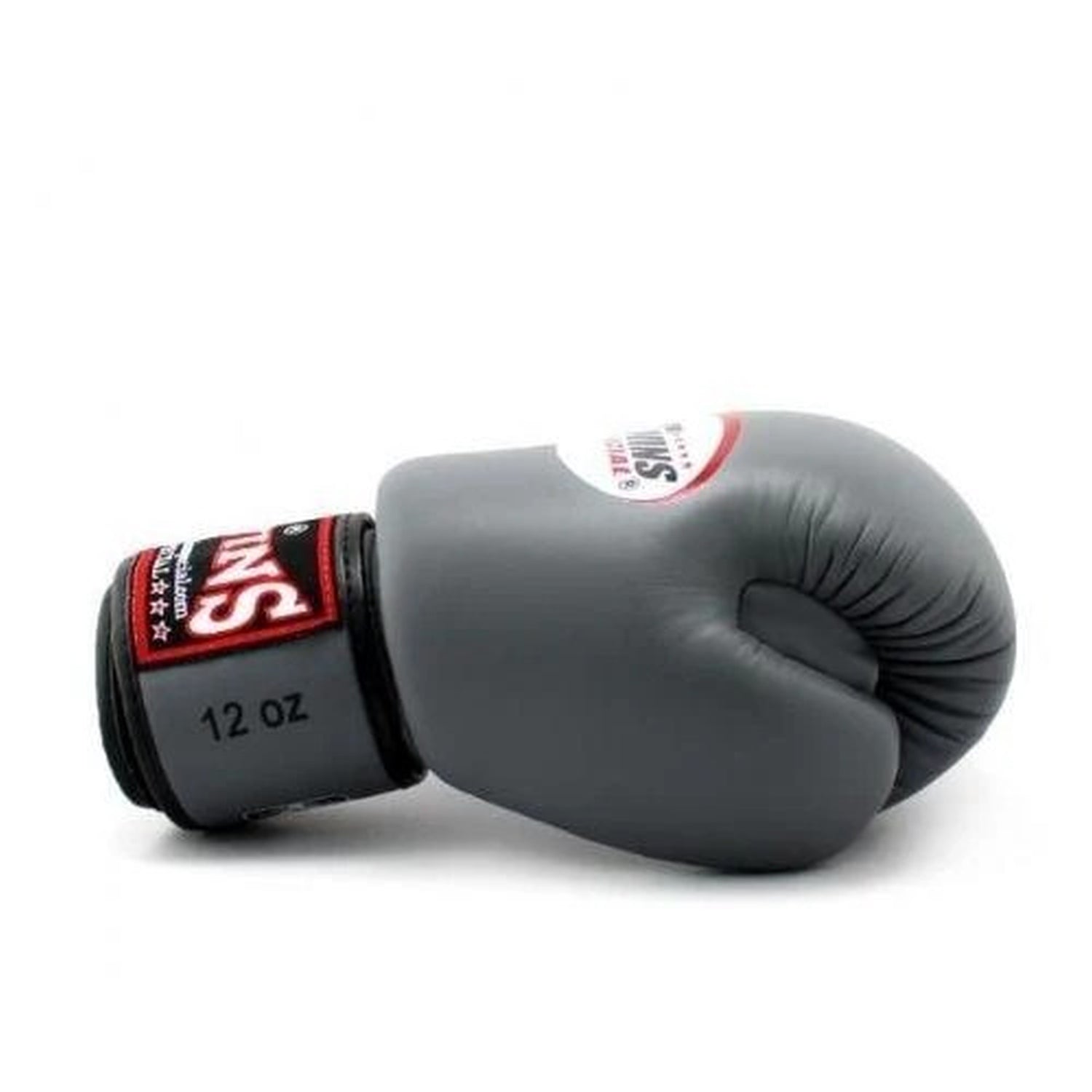 Twins Special Boxhandschuhe BGVL 3, grau